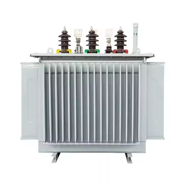 Масля LMMERSED POWER розподіляв трансформатор